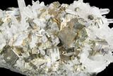 Gleaming Cubic Pyrite & Quartz Crystal Association - Peru #126612-1